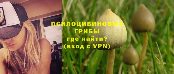 бошки Алзамай