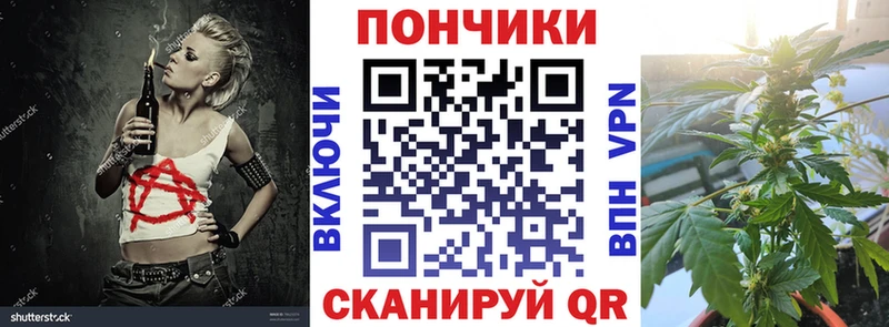 Бошки Шишки планчик  где продают наркотики  Светлоград 